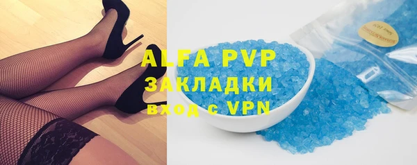 ECSTASY Алзамай