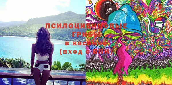 ECSTASY Алзамай