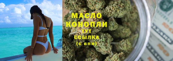 индика Няндома