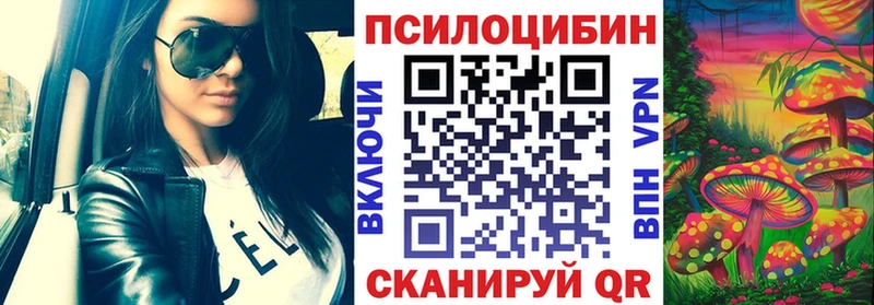 где купить наркоту Байкальск Псилоцибиновые грибы мицелий